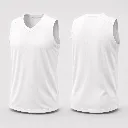 PAF-001A Blank.webp